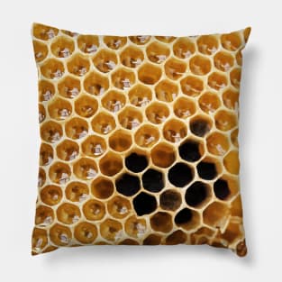 bee hive Pillow