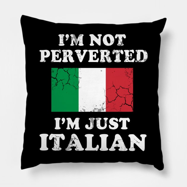 I'm Not Perverted I'm Just Italian Italy Italia Pillow by E