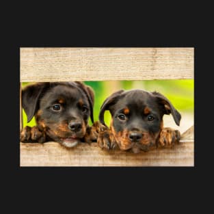 Cute Rottweilers T-Shirt