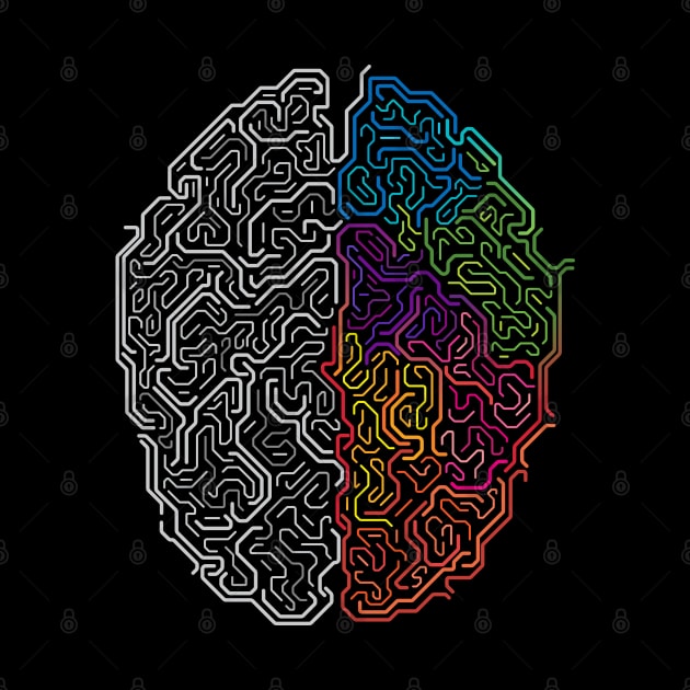 brain function illustration by Mako Design 