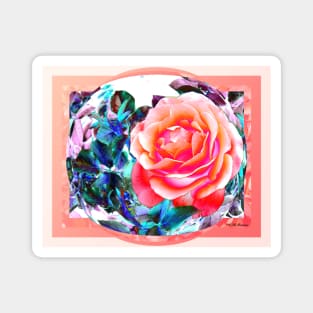 Peach Rose Magnet