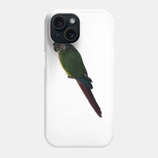 Green Cheek Conure Parrot Bird design, Love for birds Phone Case