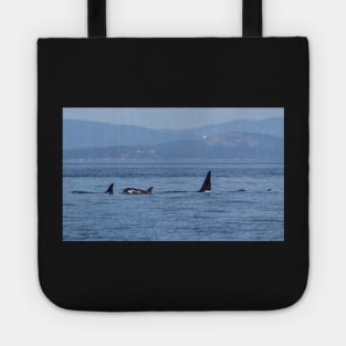 Orca Family Tote