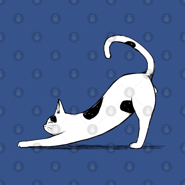 Stretching Cat by bimbombash