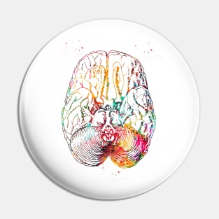 Human brain section Pin