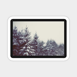 Winter Daydream #2 Magnet