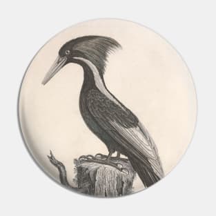 Black Throated Gray Warbler Pin