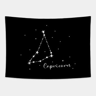 Capricorn Zodiac Constellation in The Dark Tapestry