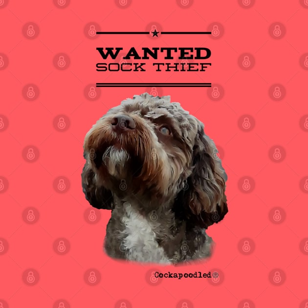 Cockapoo / Doodle Dog Sock Thief by WoofnDoodle 