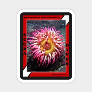 Painted Tealia Anemone Shirts Magnet