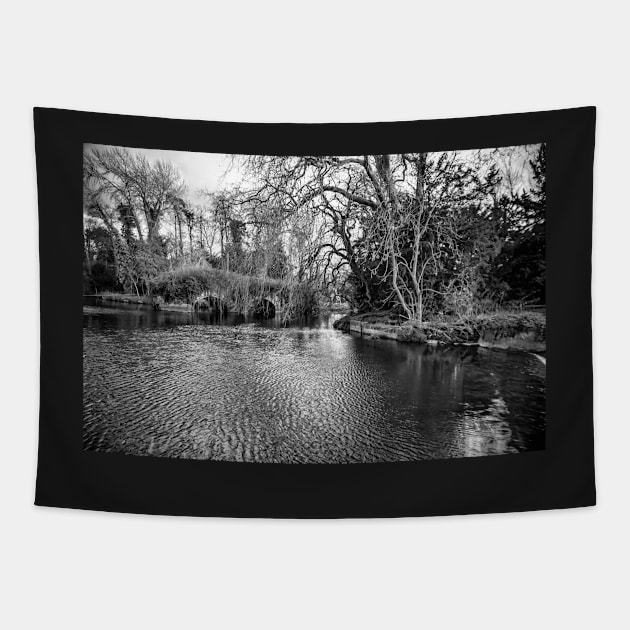 River Avon Warwickshire Tapestry by stuartchard