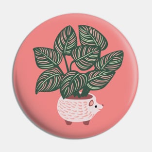 Hedgehog Calathea Pin