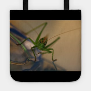 grasshopper, macro front Tote