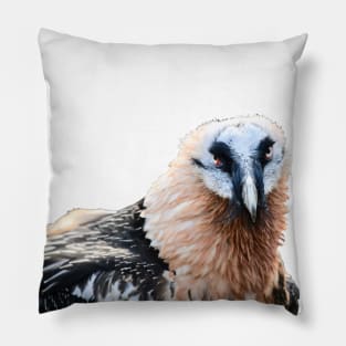 Bearded Vulture the Blink Pillow