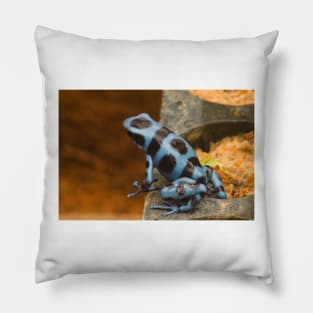 ola blue frog garden Pillow