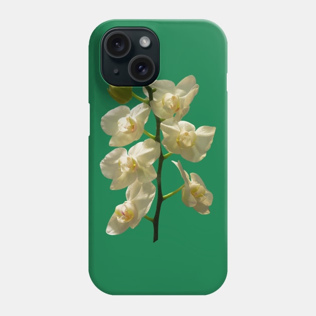 Orchids - Dainty White Orchids Phone Case by SusanSavad