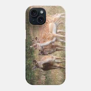 Fallow Deer - Bushy Park, London Phone Case