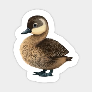 Baby Hawaiian Nene Goose Native Bird Magnet