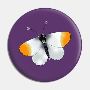 orange-tip butterfly Pin