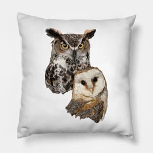 Owl and Barn Owl Pillow