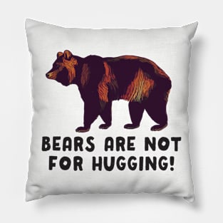 Bears Are Not For Hugging Pillow