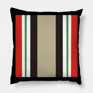 Iraq Campaign Medal Pillow