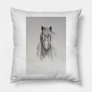 Horse Pillow