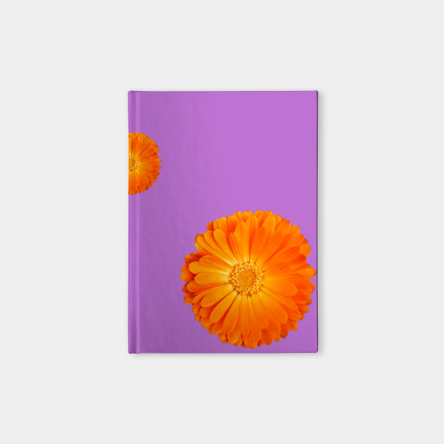 Orange Flower on funky purple background