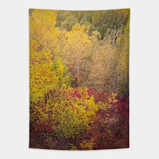 autumn trees background Tapestry