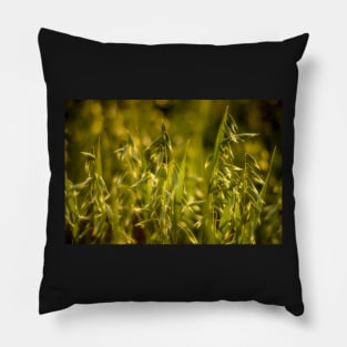 Golden Oats at Sunset Pillow