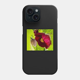 Tender Maroon Flowering Maple Phone Case