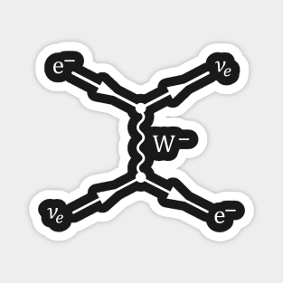 Weak Interaction Feynman Diagram Magnet