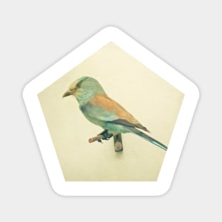 Bird study #2 Magnet