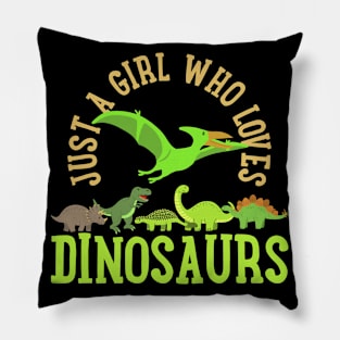 Dinosaurs Dinosaur Lover Pillow