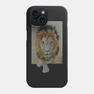 Coming at Ya! :o) Phone Case