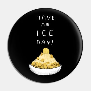 have an ice day Pin