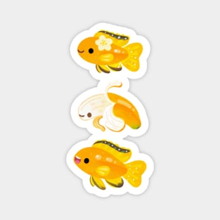 Banana cichlid(Electric yellow cichlid) Magnet