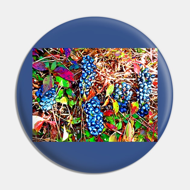 Grapes Pin by danieljanda