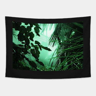 Calm Mist Tapestry