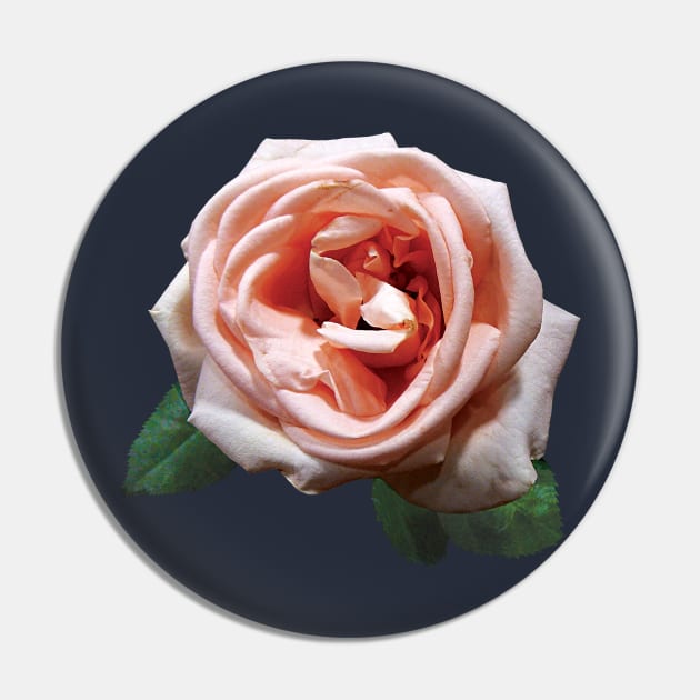 Roses - Delicate Peach-Colored Rose Pin by SusanSavad