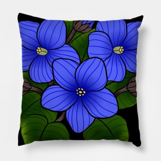 Blue African Violets in Black Pillow