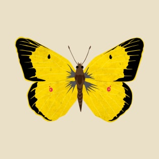 Yellow Clouded Sulphur Butterfly T-Shirt