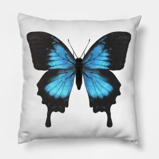 Ulysses Butterfly Pillow