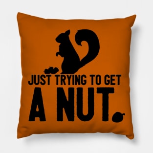 A Nut Pillow