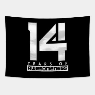 'Fourteen Years of Awesomeness' Cool Birthday Gift Tapestry