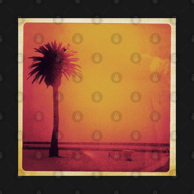 Palm Tree on the Beach by punkcinemaart