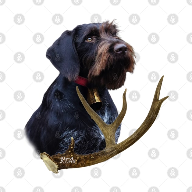 German Wirehaired Pointer by German Wirehaired Pointer 