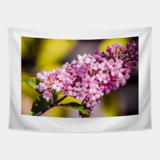 Butterfly bush close-up Tapestry