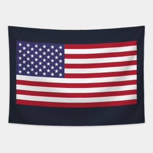 US Flag - RWB Tapestry