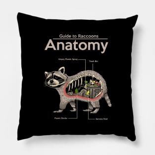 Anatomy of a Raccoon Pillow